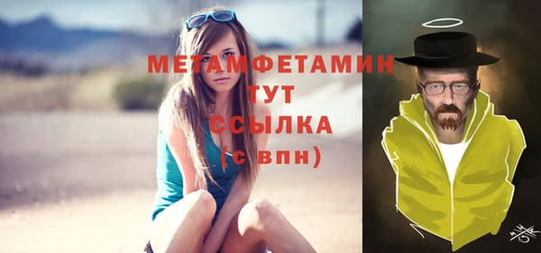 индика Балахна