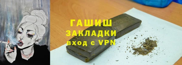 индика Балахна