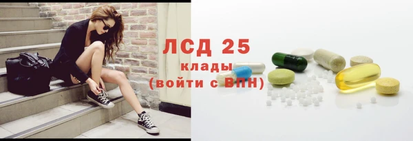 индика Балахна