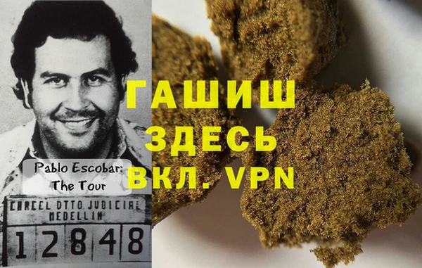 индика Балахна