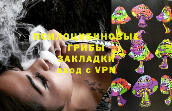 индика Балахна