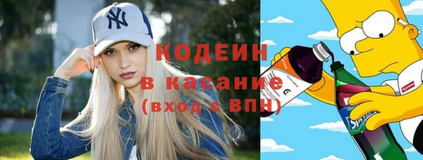 индика Балахна