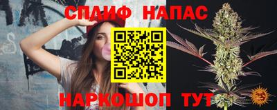 мдпв Можга