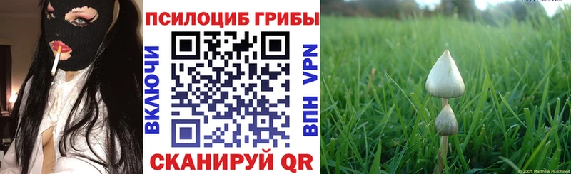 MEGA ONION  Долгопрудный  Псилоцибиновые грибы GOLDEN TEACHER 