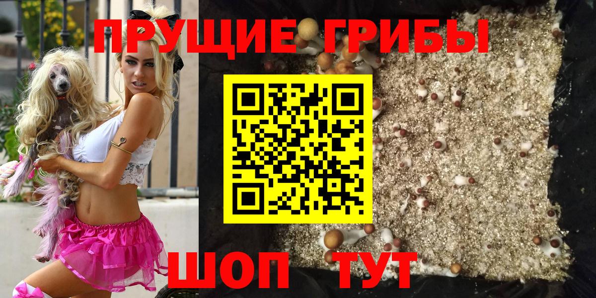 Псилоцибиновые грибы ЛСД Долгопрудный